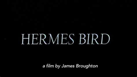 hermes bird movie online|Hermes Bird (1979): Where to Watch and Stream Online.